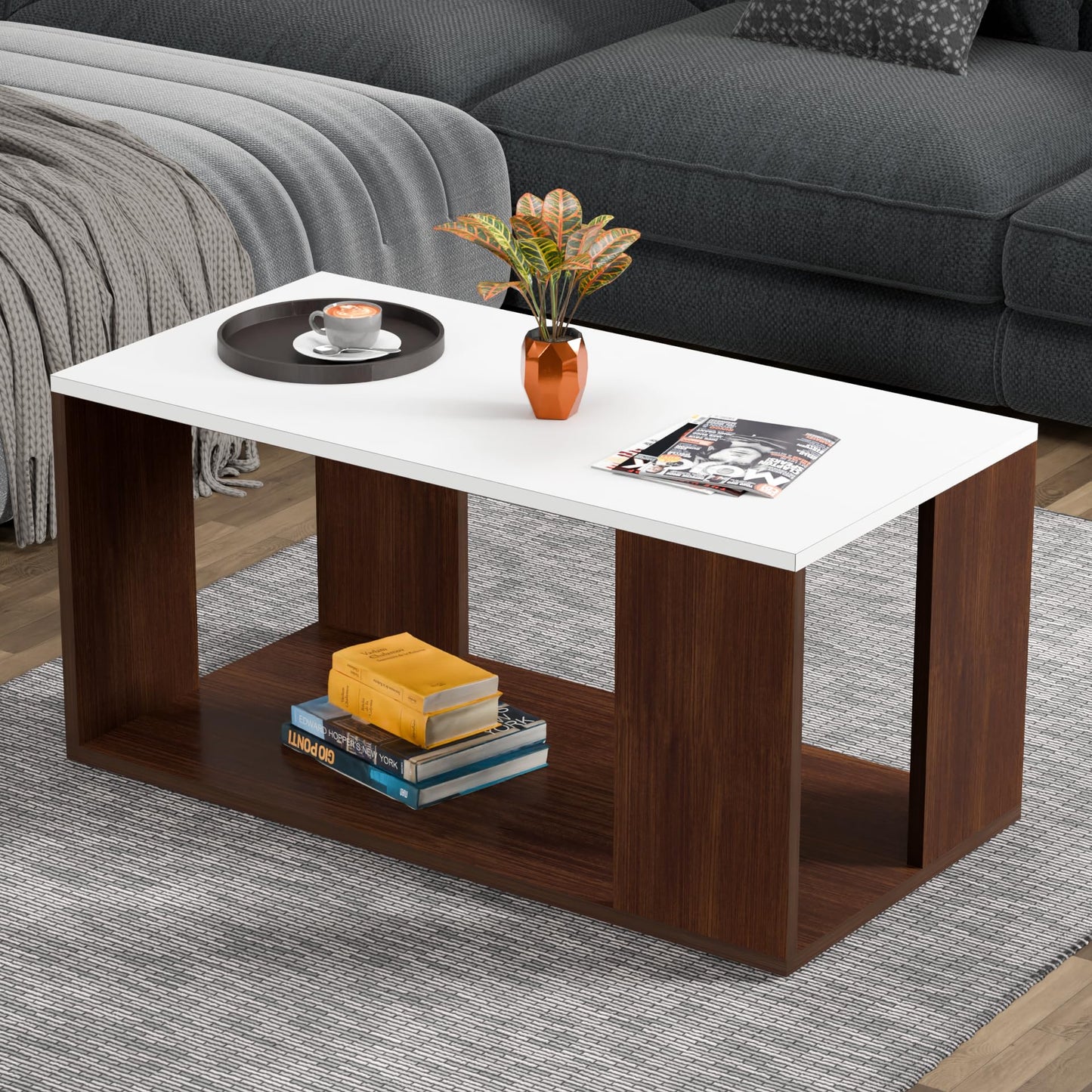PEDPIX Carrera Engineered Wood Coffee Center Sofa Tea/Teapoy Console Table with Storage for Living Room Home Hall (Dark Wenge)