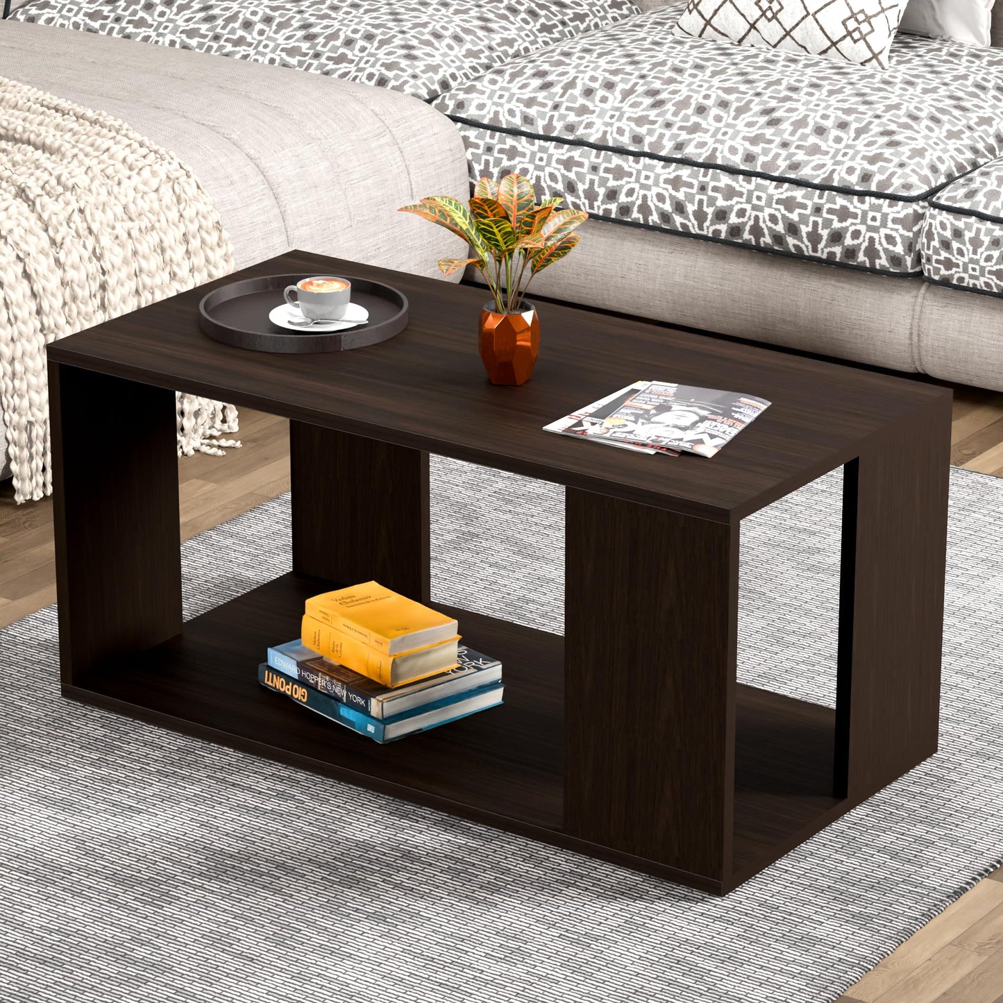 PEDPIX Carrera Engineered Wood Coffee Center Sofa Tea/Teapoy Console Table with Storage for Living Room Home Hall (Dark Wenge)